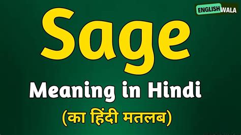 sage meaning in Hindi .